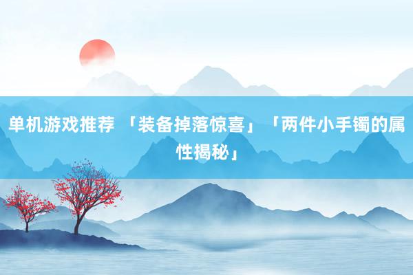 单机游戏推荐 「装备掉落惊喜」「两件小手镯的属性揭秘」