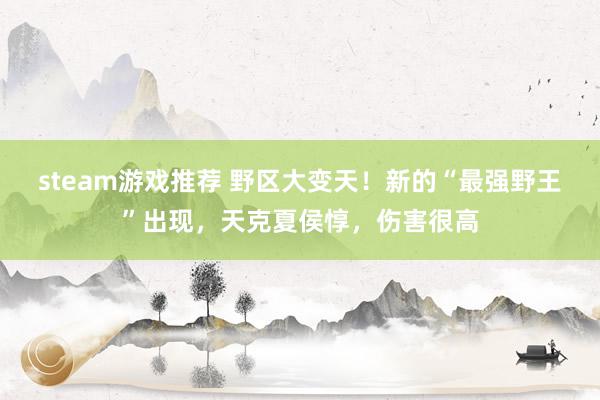 steam游戏推荐 野区大变天！新的“最强野王”出现，天克夏侯惇，伤害很高