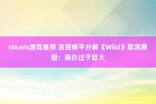 steam游戏推荐 吉田修平分解《Wild》取消原因：操办过于巨大