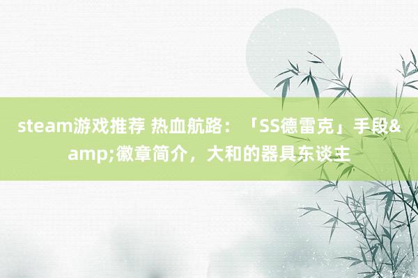 steam游戏推荐 热血航路：「SS德雷克」手段&徽章简介，大和的器具东谈主