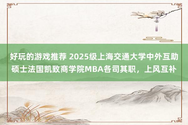 好玩的游戏推荐 2025级上海交通大学中外互助硕士法国凯致商学院MBA各司其职，上风互补